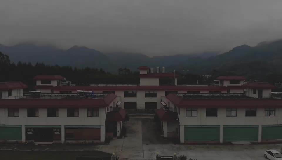 公司整體環(huán)境