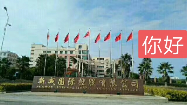 福建省新威电子工业有限公司