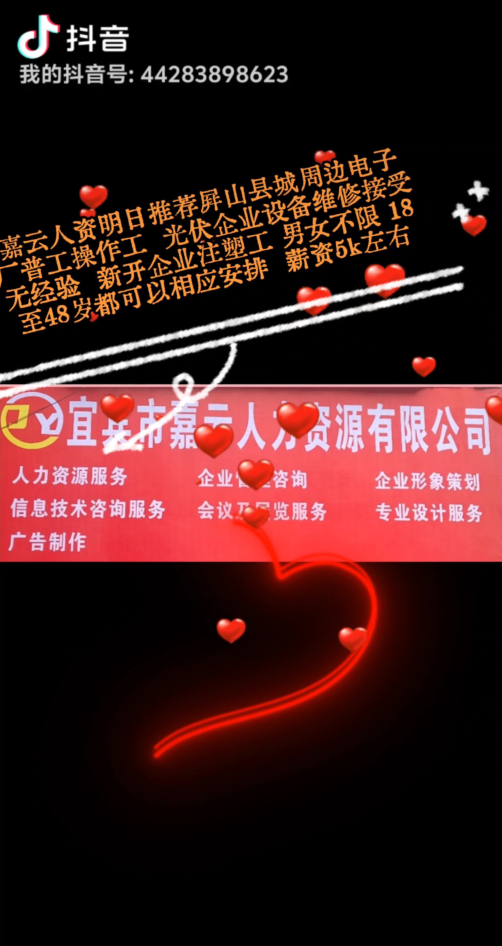 从事人力资源服务