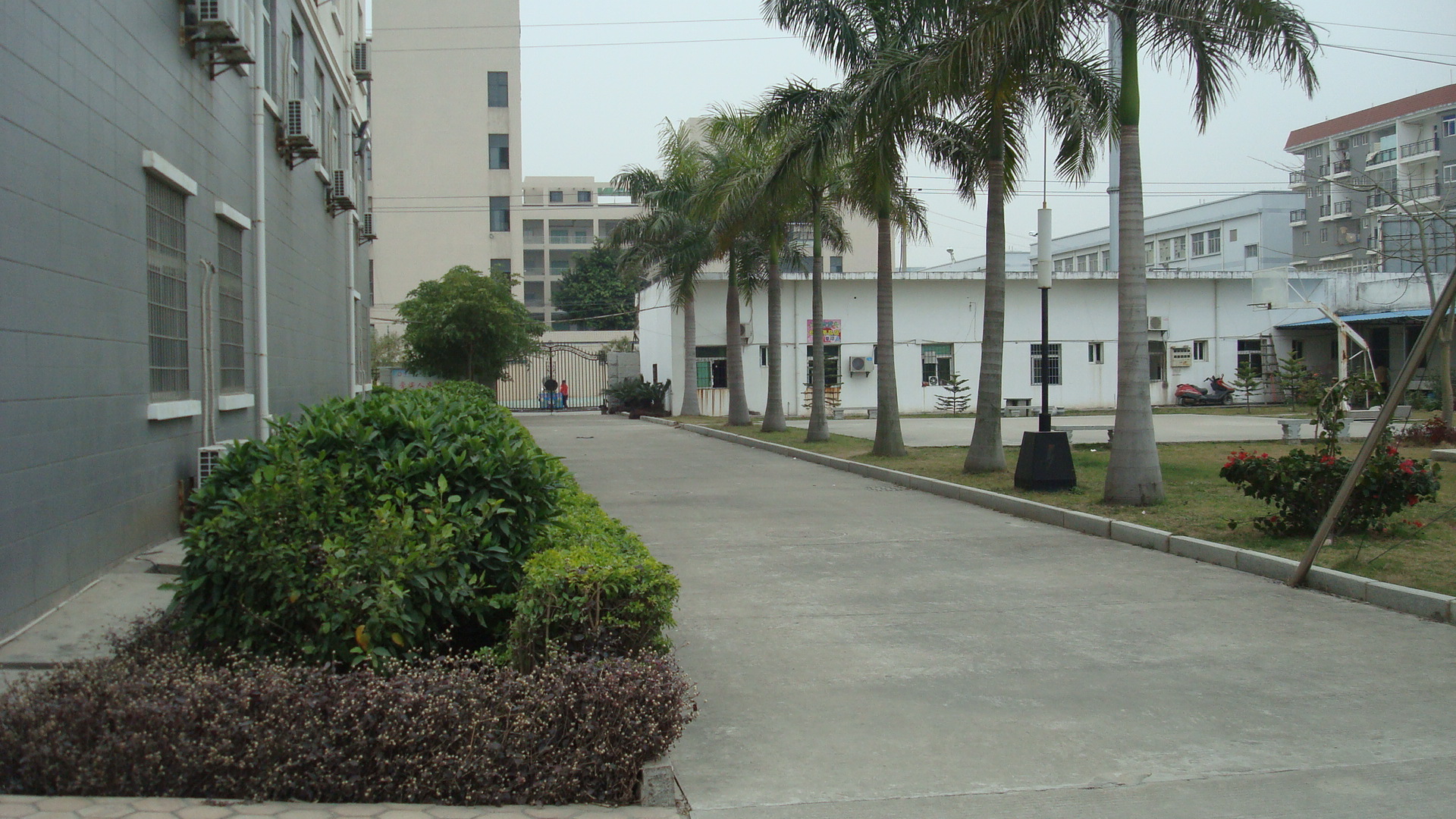 骨科医生_漳州龙池医院.最新招聘信息 - 漳州597人才网