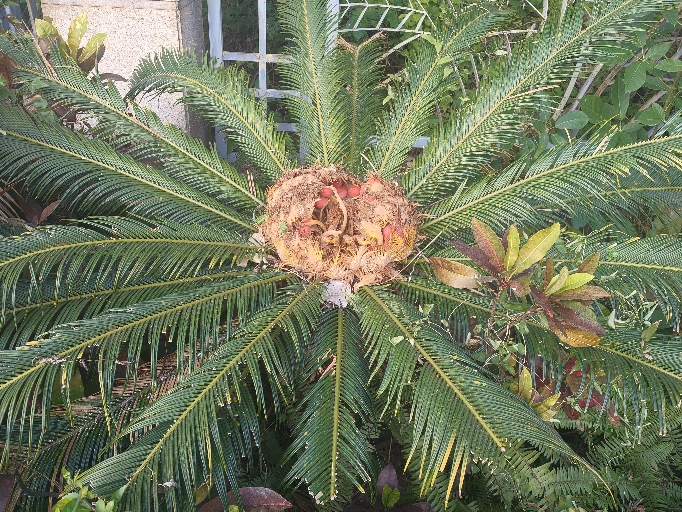 保定市拓信物业服务有限公司