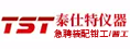 泰仕特仪器（福建）有限公司