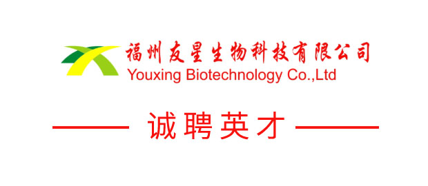 福州盛达进出口有限公司