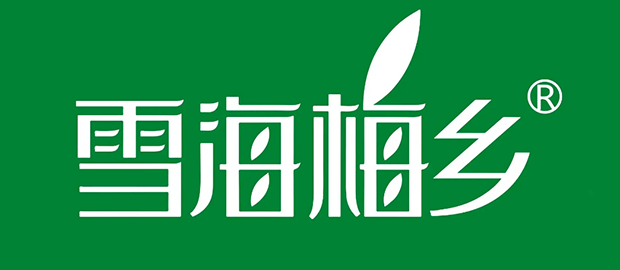 福建雪海梅乡食品科技有限公司